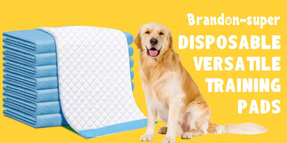 Super Absorbent & Odor Control