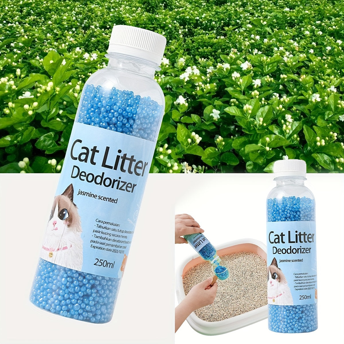 Long-Lasting Odor Control for Cats